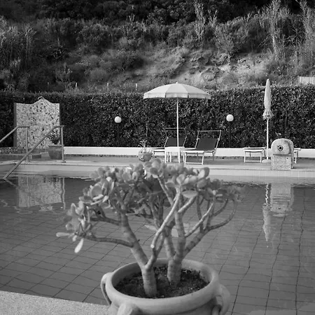 Rita Hotel Forio (Isola d'Ischia)